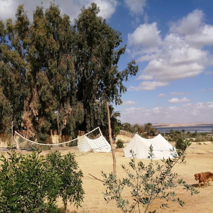 Tunis Village El-Al Fayyūm 客房 照片